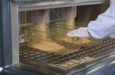 Lorem Ipsum is simply dummy