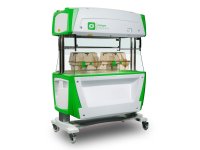 ARIA CS60 D