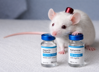 Roztwory płuczące / blokujące