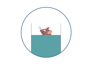 Test wymuszonego pływania