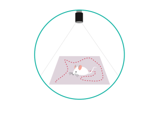 Test otwartego pola (Open Field)