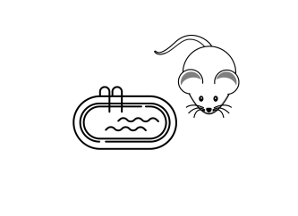 Test wymuszonego pływania